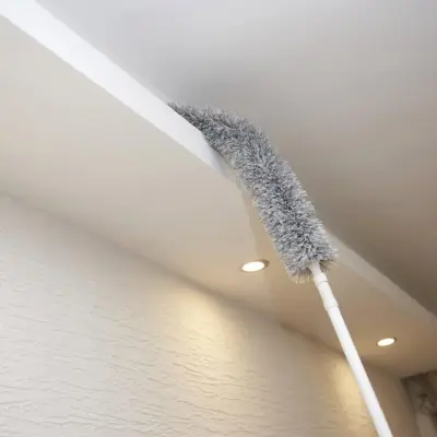 Dust Brush GAP Cleanning