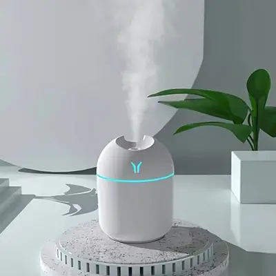 Mini Cup Spray Mist Humidifier