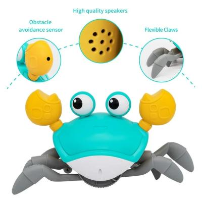Smart Crab Toy